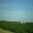 Fotos Fazenda Aliança