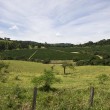 Fotos Fazenda Aliança
