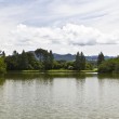 Fotos Fazenda Aliança
