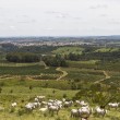 Fotos Fazenda Aliança
