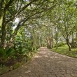 Fotos Fazenda Aliança
