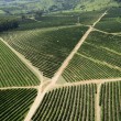 Fotos Fazenda Aliança
