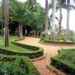 Fotos Fazenda Aliança