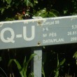 Fotos Fazenda Aliança
