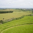 Fotos Fazenda Aliança
