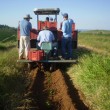 Fotos Fazenda Aliança