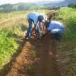 Fotos Fazenda Aliança