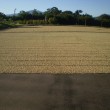 Fotos Fazenda Aliança