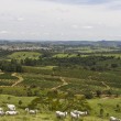 Fotos Fazenda Aliança