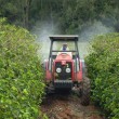 Fotos Fazenda Aliança