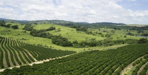 Fazenda Aliança