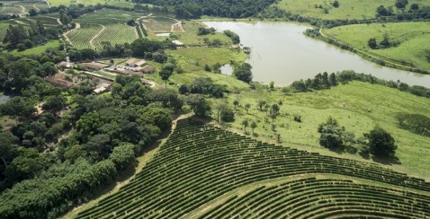 Fazenda Aliança