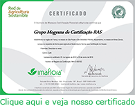 Veja nosso certificado